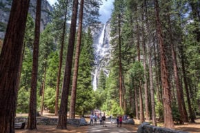 Lower Yosemite Falls Trail (Kim Carroll)